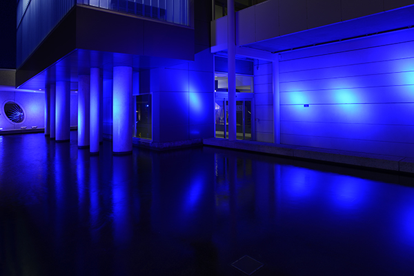 World Diabetes Day 2012, Morsani Center for Advanced Healthcare, blue lights