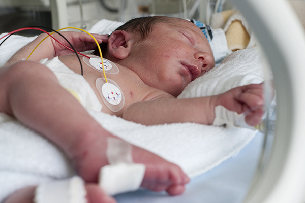 Newborn baby in incubator